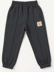 Little Lion Erkek Çocuk Eşofman Takım - Gri