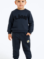 Little Lion Erkek Çocuk Eşofman Takım - Gri