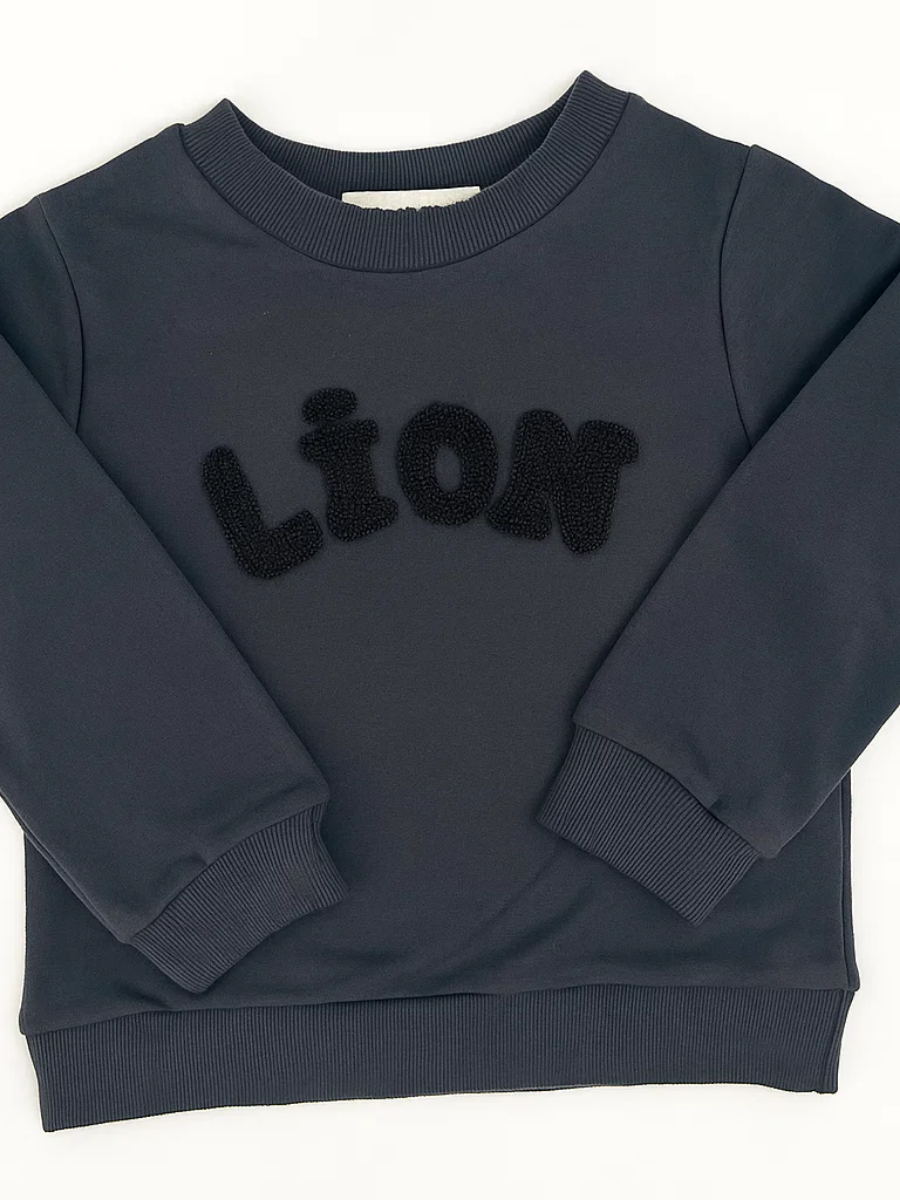 Little Lion Erkek Çocuk Eşofman Takım - Gri