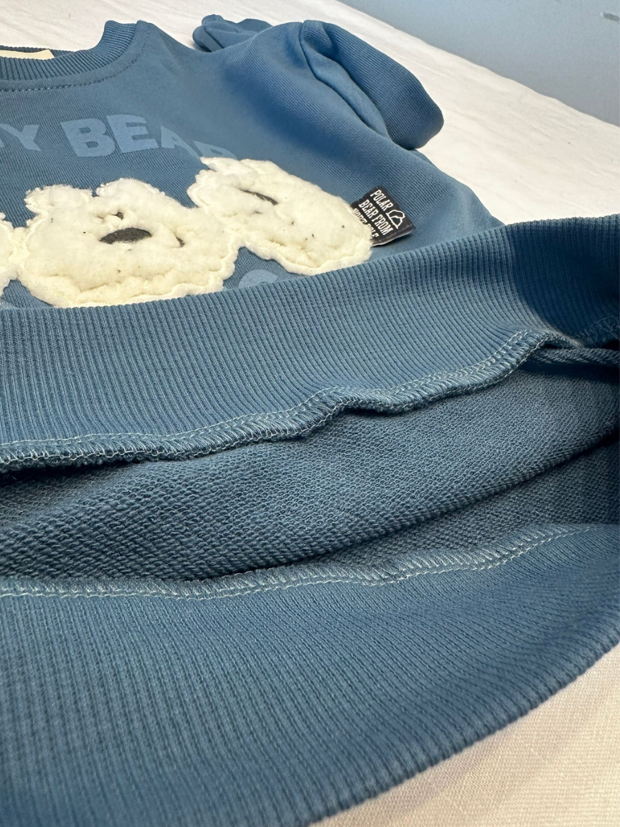 Bear Buddies Erkek Çocuk Sweatshirt - Mavi